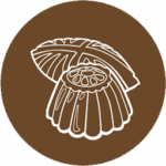 Confectionery & Bakery